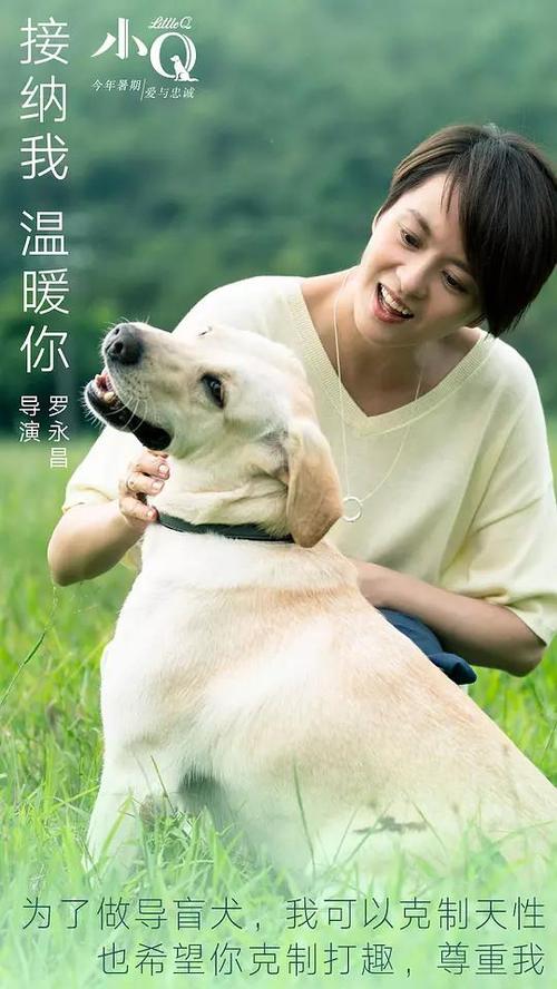 NorthTec本科学位证